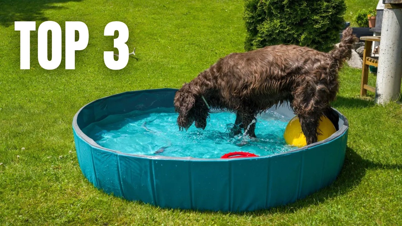 Top 3 Best Foldable Dog Pools !