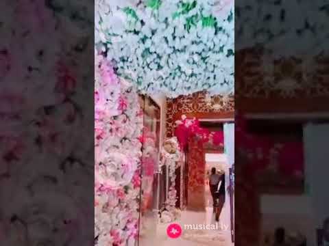 حالة وتس اب رومنسية اغنية ناري ناري
