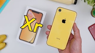 IPHONE XR putih hitam merah 64 GB 128 GB 256 GB iphone XR RED