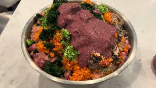 Homemade Turkey Dog Food