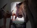 مرحبا با الغلا عقب طول المده mp3