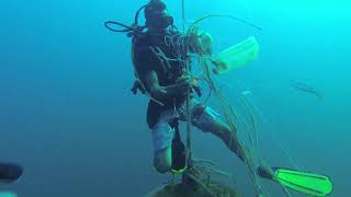 FAD Fishing in Costa Rica