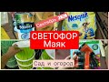 СВЕТОФОР Маяк НеоЖидаНные НОВИНКИ сентябрь 2020 Сад и огород Еда Напитки