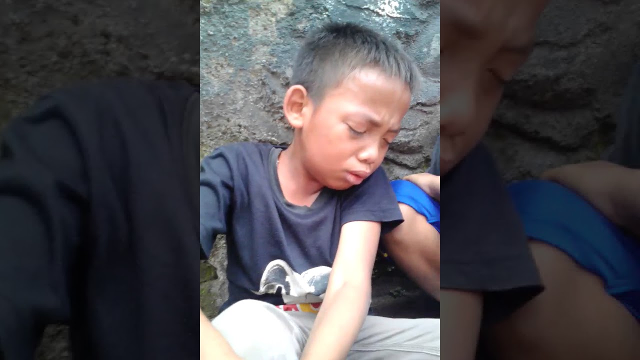 680 Gambar Burung Anak Kecil HD Terbaik