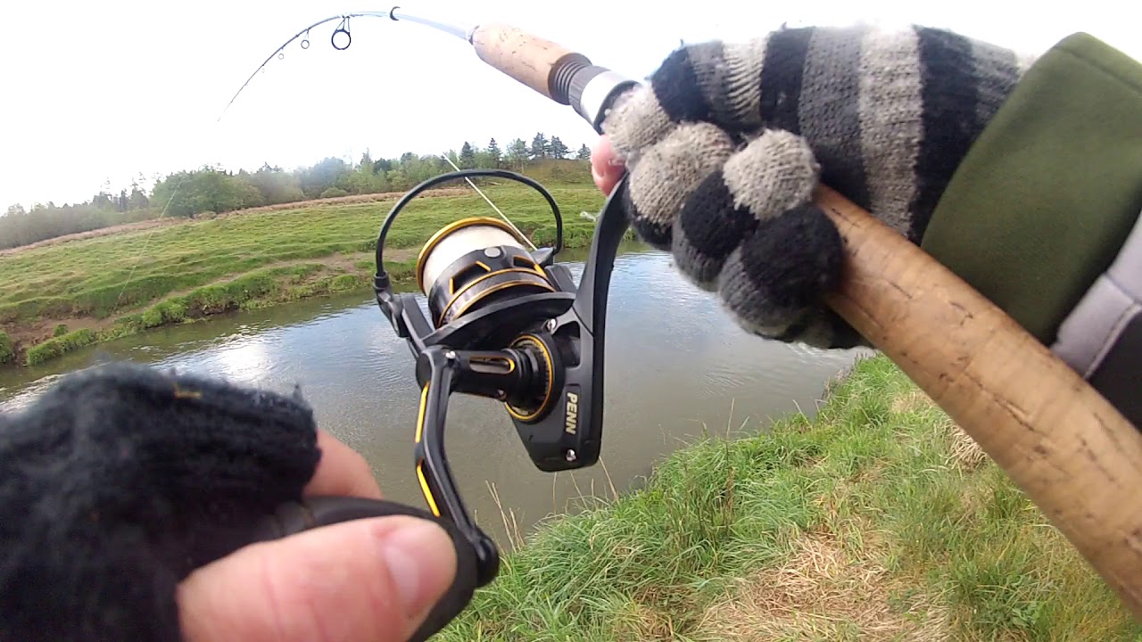 Laks 106 cm og 11 kg - Med take