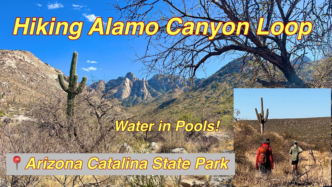 Alamo Canyon Loop Hike in Catalina State Park-Indian Grinding Stone near pools!