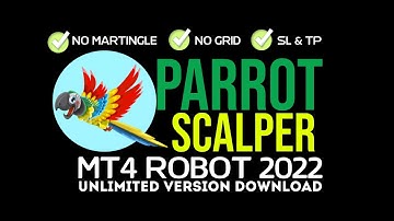 Parrot Scalper EA - Back-TEST & Unlimited Version Download