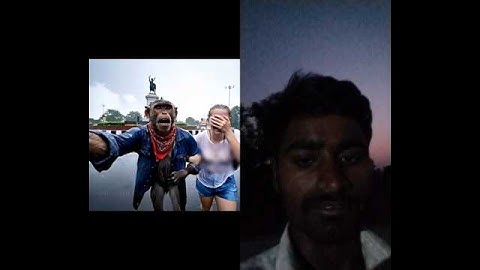 how to making a ai monkey vlogger/blogger video( AI से बंदर का ब्लॉग वीडियो कैसे बनाए )😀👍