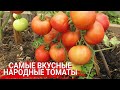 Самые вкусные народные томаты