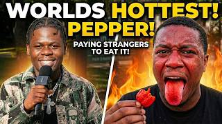 Paying Strangers to Eat the World s Hottest Pepper