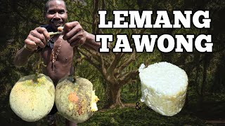 Lemang Buah Tawong - Makanan Langka Orang Asli Bateq