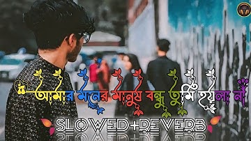 Amar Moner Manush Bondhu Tumi Hoi Lana:আমার মনের মানুষ বন্ধু তুমি হইলা না :SED.SLOWED+REVERB_SONG