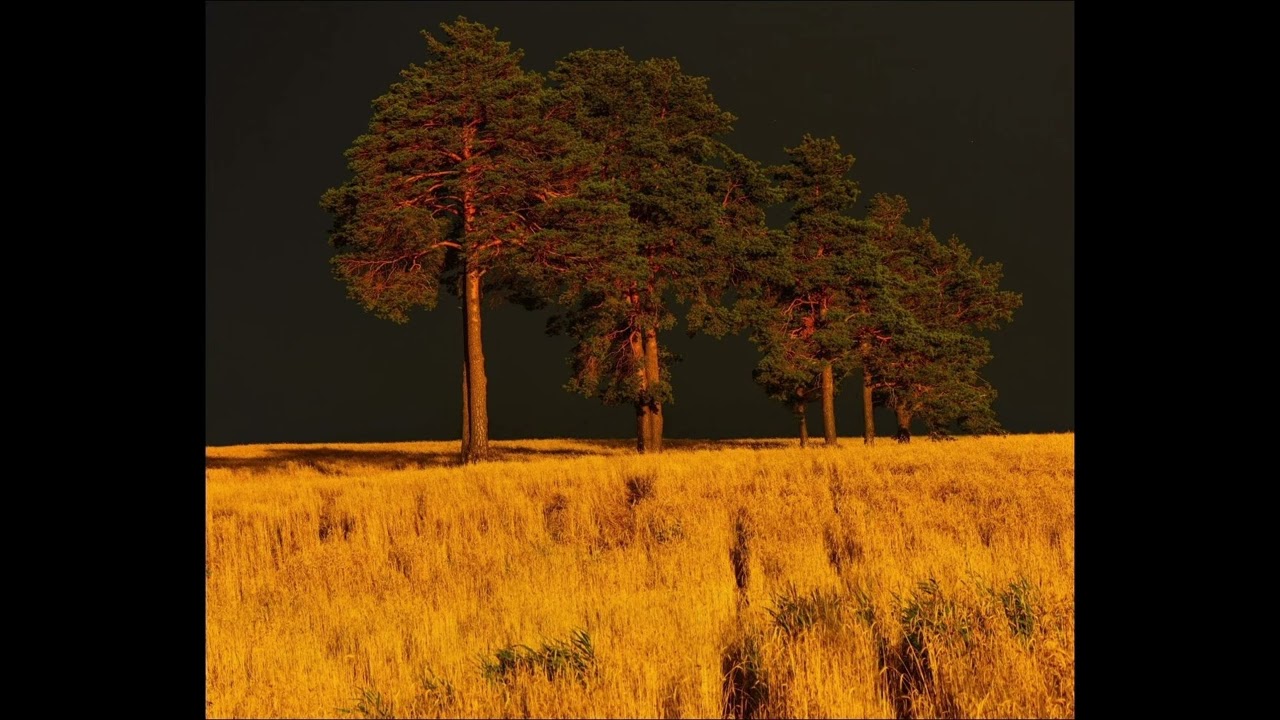 FREE  + YEAT + A DANGEROUS LYFESTYLE TYPE BEAT + (NATURES)