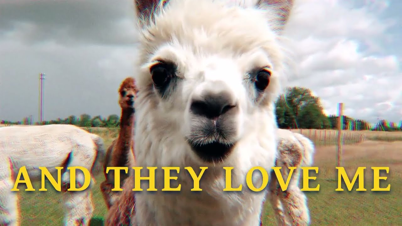 Watch Wild Child - Animals (Official Lyric Video) on YouTube Watch Wild Child - Animals (Official Lyric Video) on YouTube