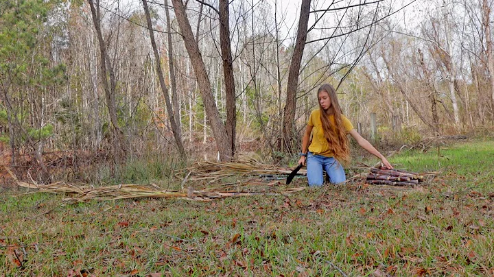 How to Plant and Grow Sugarcane in Rows (Even Outs...