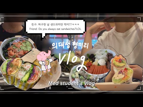 Eng 의대생vlog 매일 샐러드랑 샌드위치만 먹고 살 수 있을까 내가 형끼리인 이유 중간고사 공부 시작 Korean Medstudent S Vlog