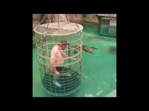 NGERI!!! ...Detik-Detik Pawang Buaya Diterkam