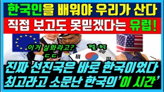 한국의 아침 &quot;상상초월하는 광경보고&quot; 눈물나게 감동하는 해외네티즌 외국인반응