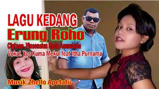 Download Lagu LAGU TERBARU ERUNG ROHO MP3