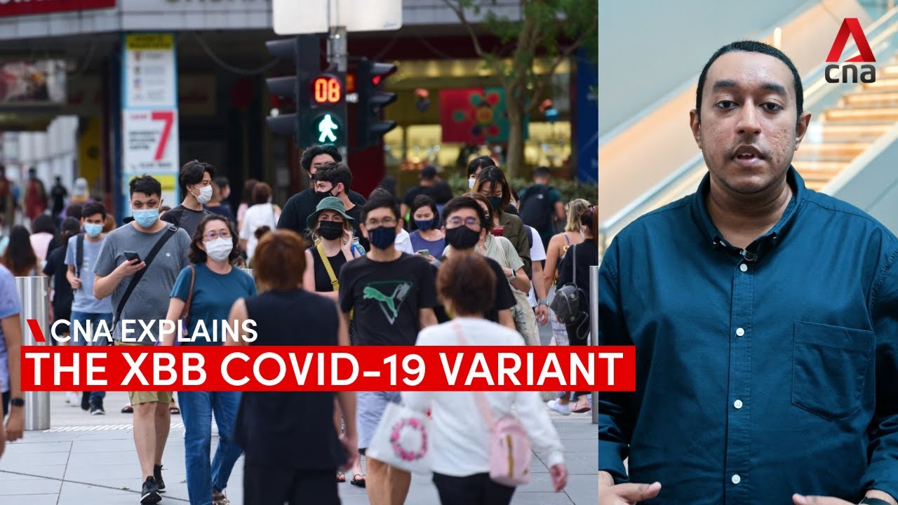 CNA Explains: What you need to know about the XBB COVID-19 variant | Video