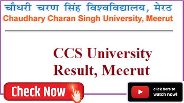 CCSU Meerut Result Declared | BCA | BBA | Out Now | Check Now | Code With Pankaj