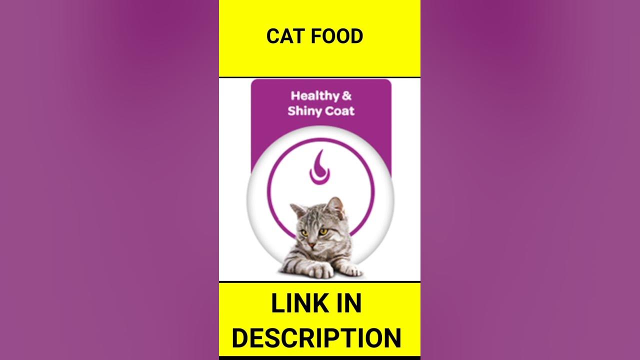 cat-food-online-shopping-amazon-india-youtube