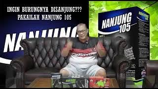 Pahami penilaian 'BNR INDONESIA' buat burung MURAI BATU