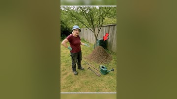 The Ants’ Nest Kept Growing Bigger…