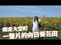 【北海道大空町　向日葵花田】影片內有非誠勿擾拍攝景點唷！