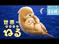 世界一かわいく寝る音楽【おやすみだっこ】赤ちゃんの寝顔を早くみたい時のオルゴール曲　（途中広告なし） #赤ちゃん寝る ＃赤ちゃん眠る