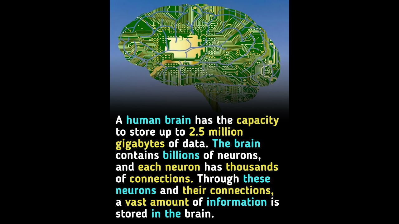 The Brain's Storage Capacity: A Mind-Blowing Fact 