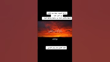 القارئ 🎙️ محمد وليد الشرعبي #quran