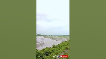 Monsoon 2023 Starts with Heavy Rainfall in Dooars | Time Lapse video | Shorts#131