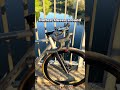 Hottest Queen around 💃🏼#bikememes #roadbike #rennrad #instabike #bikelife