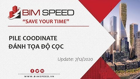 G-10: Pile Coodinate I Tạo và gán tộ độ Cọc (X,Y,Z)