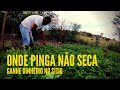 ONDE PINGA NÃO SECA! Faça de tudo no SÍTIO!