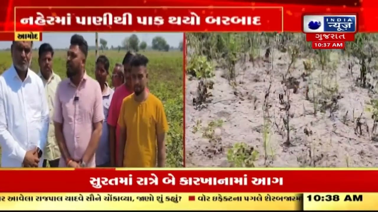 Amod Bodka village news | બોડકા ગામના ખેડૂતોના મગનો પાક બરબાદ