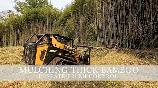 Removing Thick Bamboo