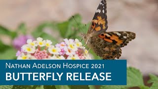 Nathan Adelson Hospice 2021 Butterfly Release