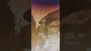 1920s Korean Combat Footage: Striking, Ground Pounding, and Throws (Subak)