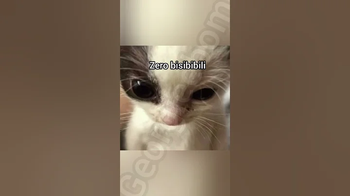 Zero bilisibility #cat #georgieebom #funny #fyp #memes