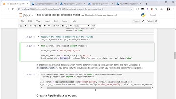 How to do Batch Inference using AML ParallelRunStep