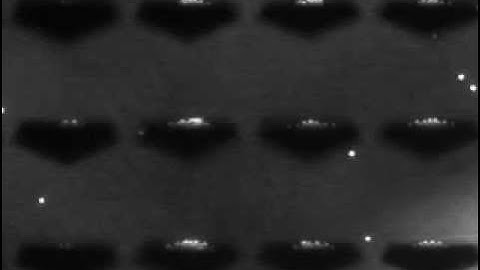 Interdigitated 3-D Silicon Ring Microelectrodes for DEP-Based Particle Manipulation