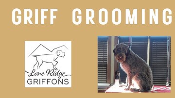 Our Big Year 3. Basic Grooming