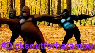 Harambe Tribute Earrape #DicksOutForHarambe