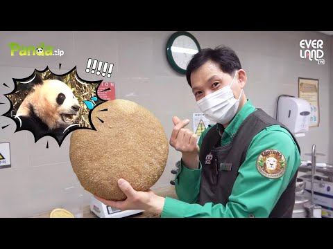 작은할배의 판다 최애 간식 워토우 황금레시피 대공개! | 에버랜드 판다월드 #푸바오 (Panda FuBao)