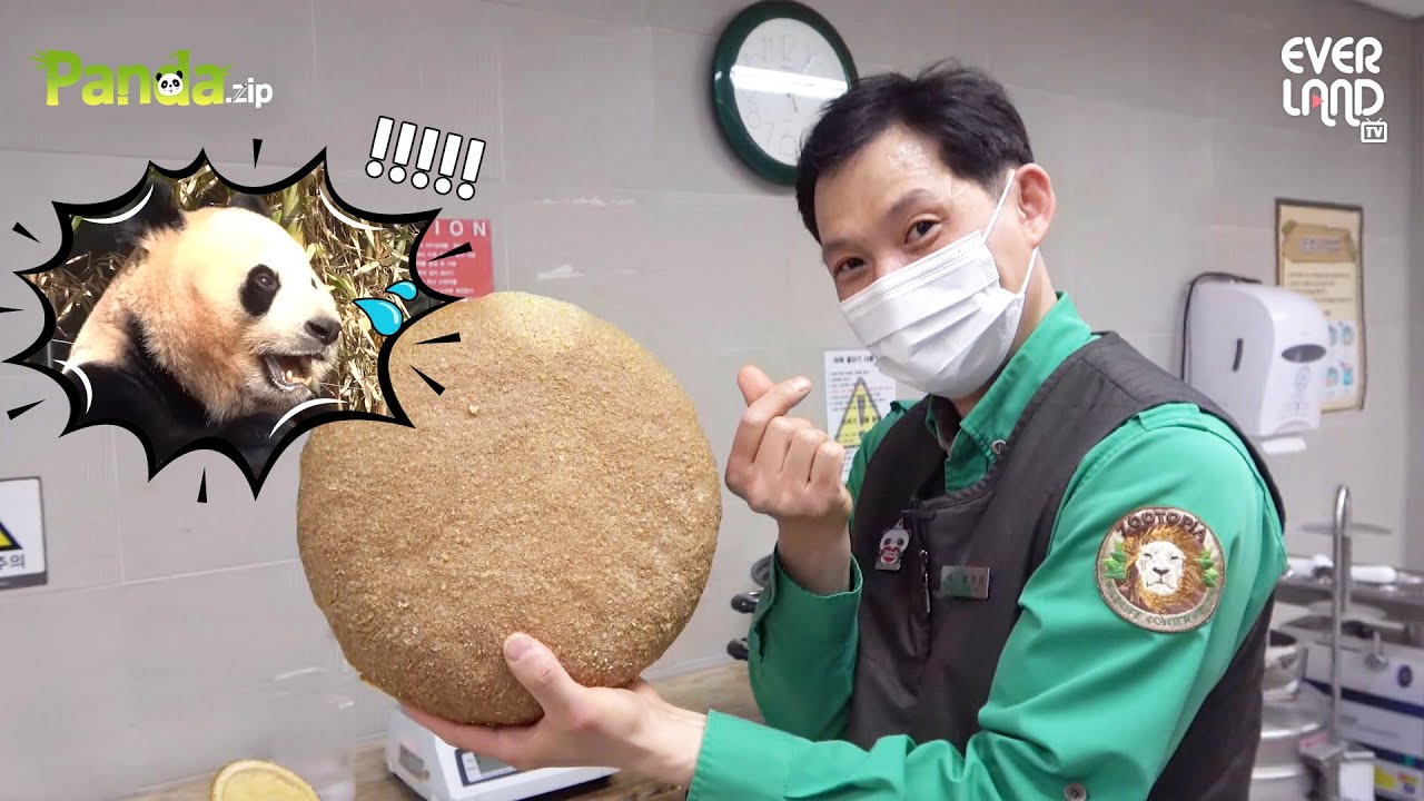 작은할배의 판다 최애 간식 워토우 황금레시피 대공개! | 에버랜드 판다월드 #푸바오 (Panda FuBao)