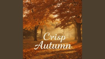 Rain Hushes the World