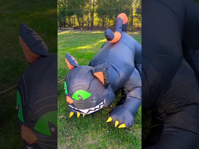 Awesome Inflatable Halloween Cat Decorations 3 sddefault