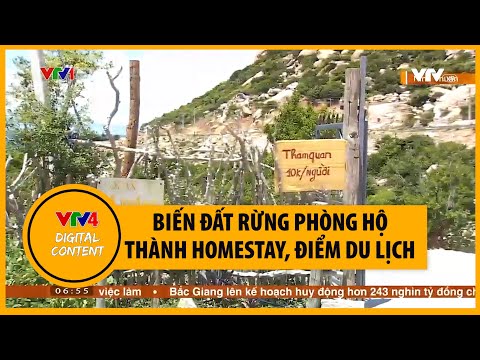 Video Ngang nhiên lấn chiếm đất rừng phòng hộ làm homestay,... - youtube